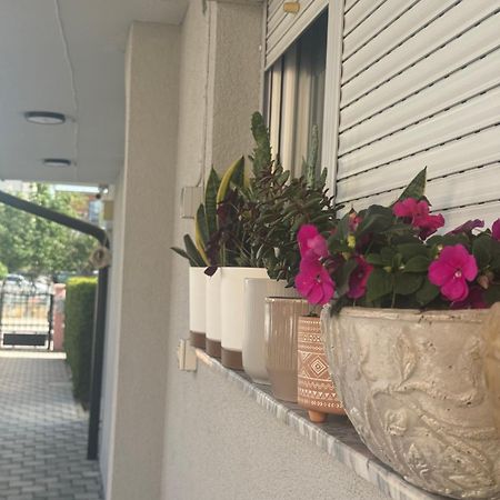 Vila Bolonja 斯特鲁加 外观 照片